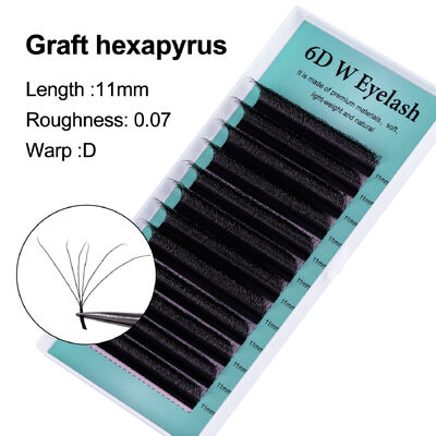 Good price Synthetic 6D 11MM D Curl Natural Look Soft Vegan Cruelty Free Eyelashes Extension Private Label online